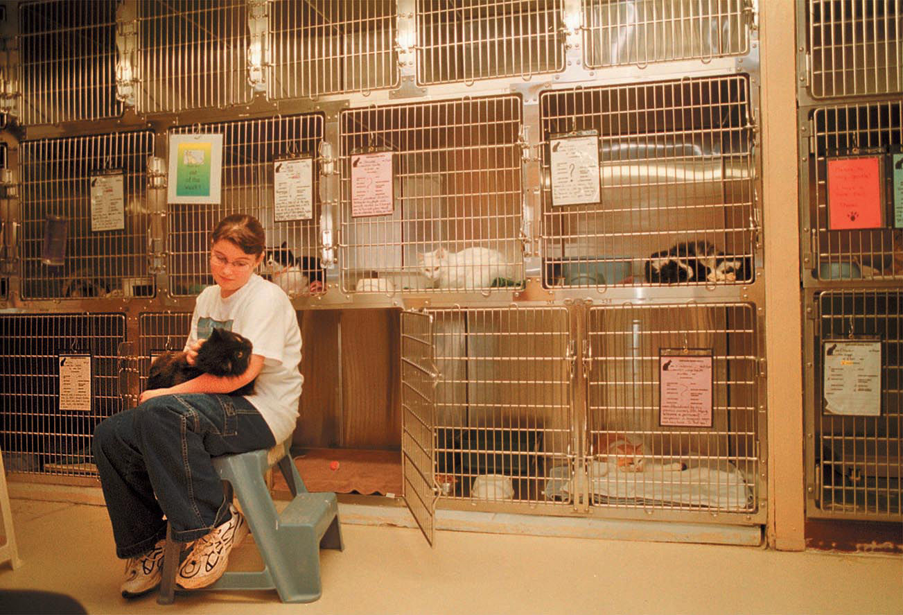 Flashback- January 2000 Heartland